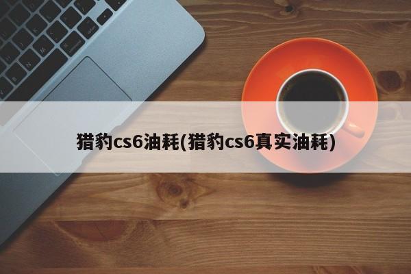 猎豹cs6油耗(猎豹cs6真实油耗)