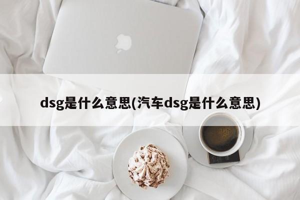 dsg是什么意思(汽车dsg是什么意思)