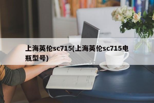 上海英伦sc715(上海英伦sc715电瓶型号)