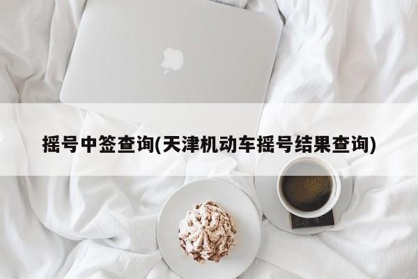 摇号中签查询(天津机动车摇号结果查询)