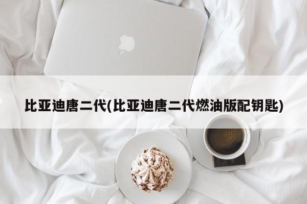 比亚迪唐二代(比亚迪唐二代燃油版配钥匙)