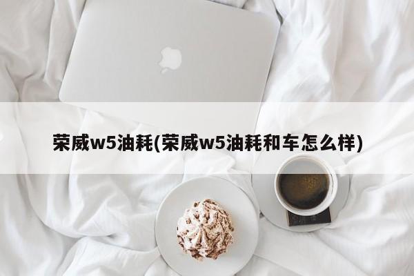 荣威w5油耗(荣威w5油耗和车怎么样)