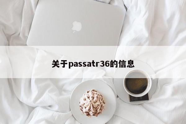 关于passatr36的信息