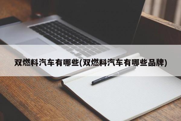 双燃料汽车有哪些(双燃料汽车有哪些品牌)