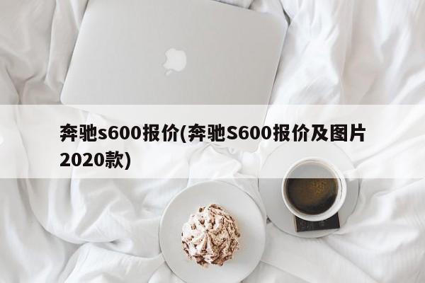 奔驰s600报价(奔驰S600报价及图片2020款)