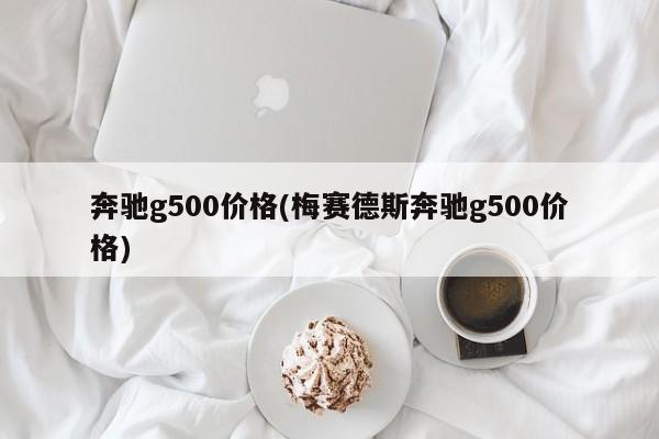 奔驰g500价格(梅赛德斯奔驰g500价格)