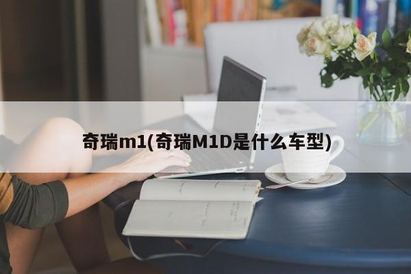 奇瑞m1(奇瑞M1D是什么车型)