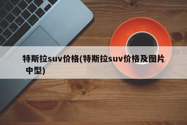 特斯拉suv价格(特斯拉suv价格及图片 中型)